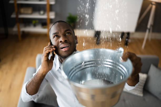 Best Flood restoration services  in Hialeah, FL