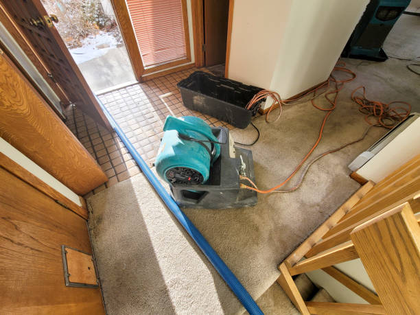 Best Water damage cleanup near me  in Hialeah, FL