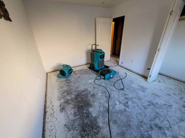 Best 24-hour water damage restoration  in Hialeah, FL