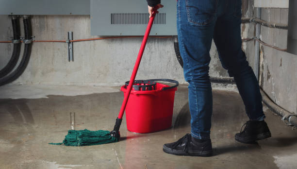 Best Water damage restoration near me  in Hialeah, FL