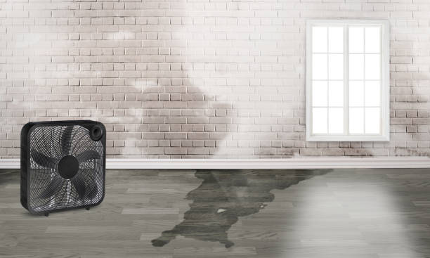 Best 24/7 water damage repair  in Hialeah, FL