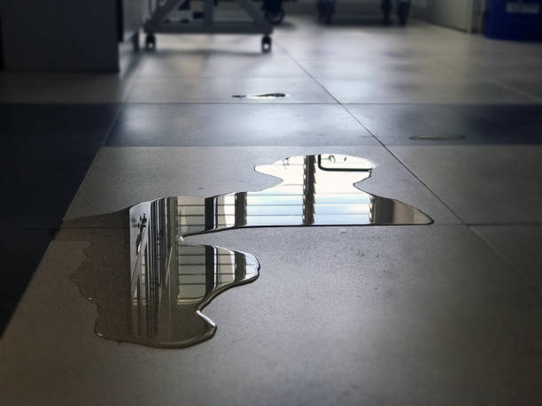 Water damage restoration process in FL
