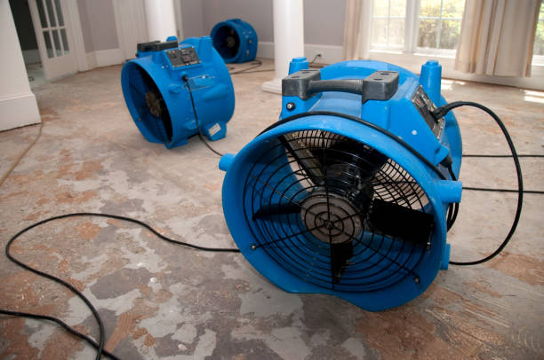 Trusted FL Water damage restoration Experts