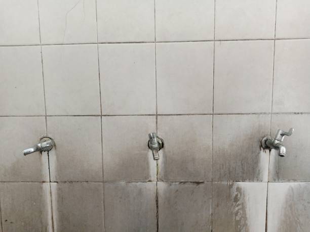 Best Flood damage cleanup  in Hialeah, FL