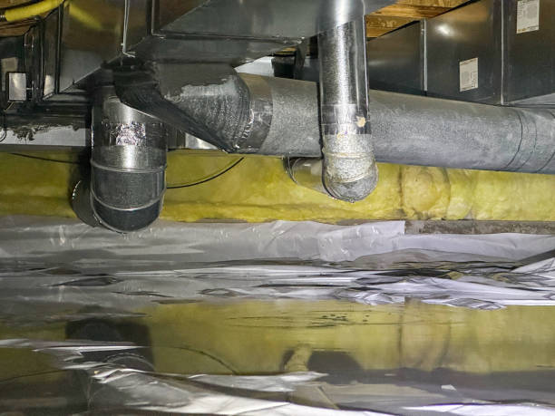 Best Water damage restoration process  in Hialeah, FL