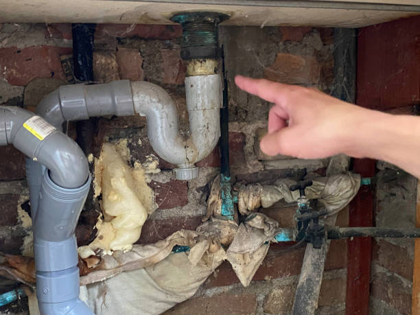 Best Carpet water damage restoration  in Hialeah, FL