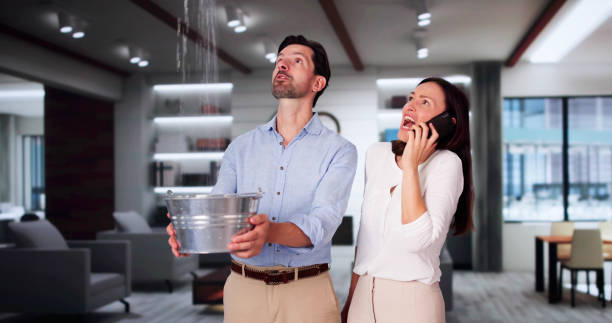 Best Residential water damage restoration  in Hialeah, FL