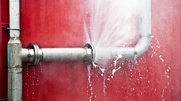 Best Professional water damage repair  in Hialeah, FL