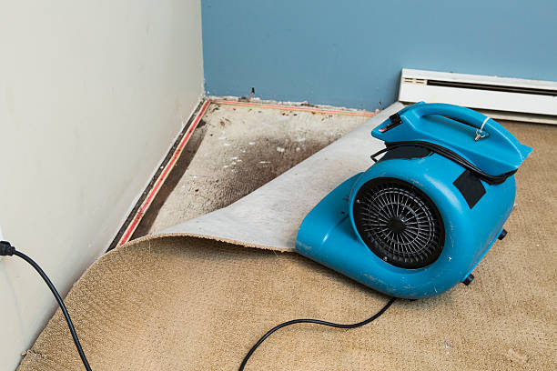 Best 24-hour water damage restoration  in Hialeah, FL